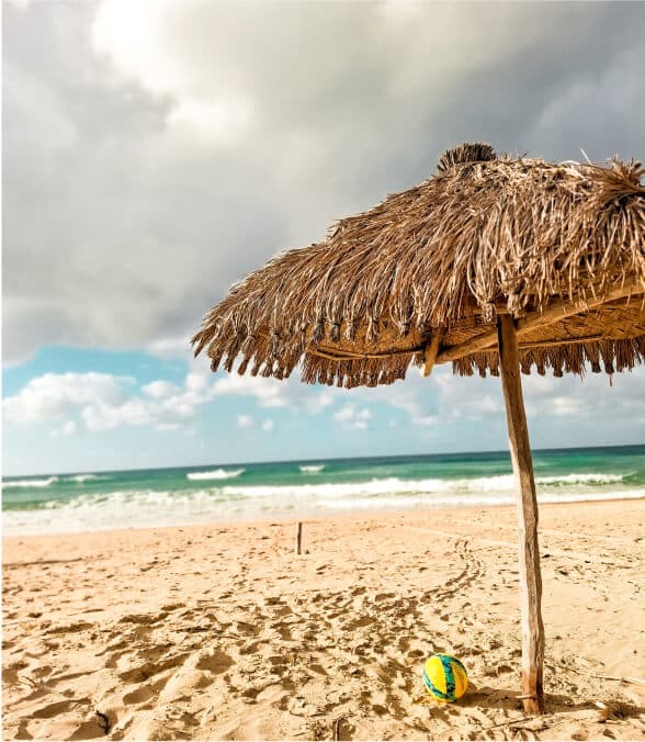 Neptunes Lodge hero image