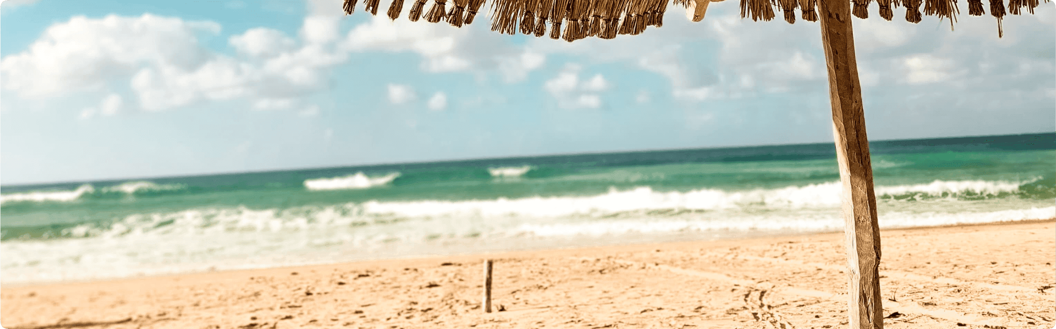 Neptunes Lodge hero image