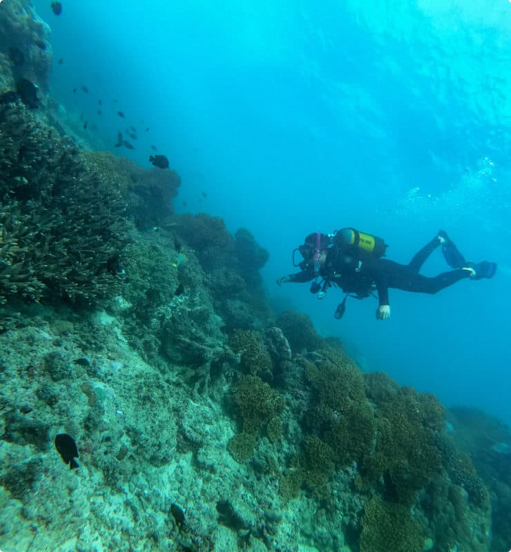 Diving