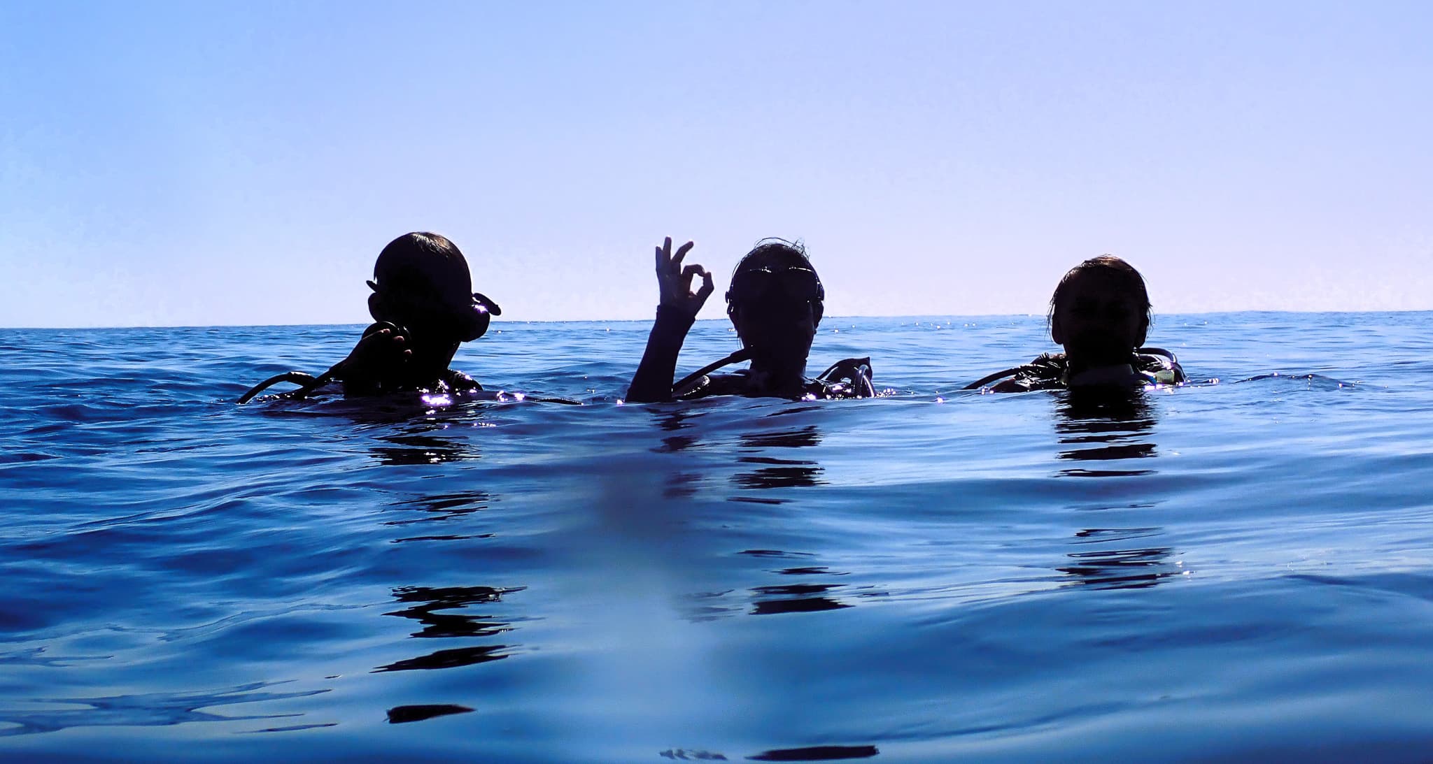 World-class diving in the Mozambique Channel